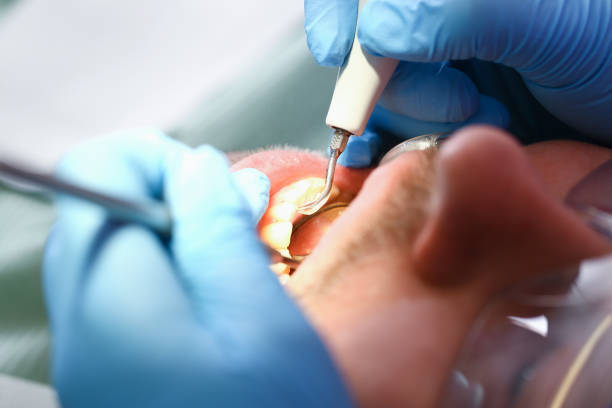 Best Emergency Dental Services for Seniors in Eureka Springs, AR